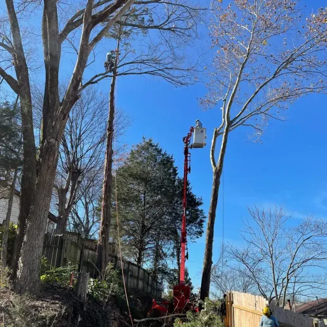 Nashville Metro Water