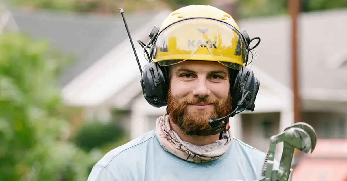 Professional Tree Cabling & Bracing